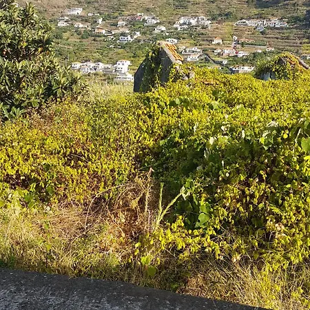 Cozy With Sea Views Βίλα Estreito Da Calheta